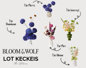 Bloom and Wolf X Lot Keckeis